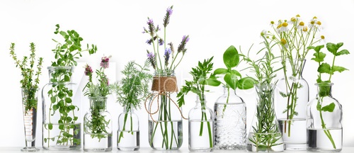 500 F 151239681 XsmmumswBN5bv8SoLs9w8Z0ND7jISeap